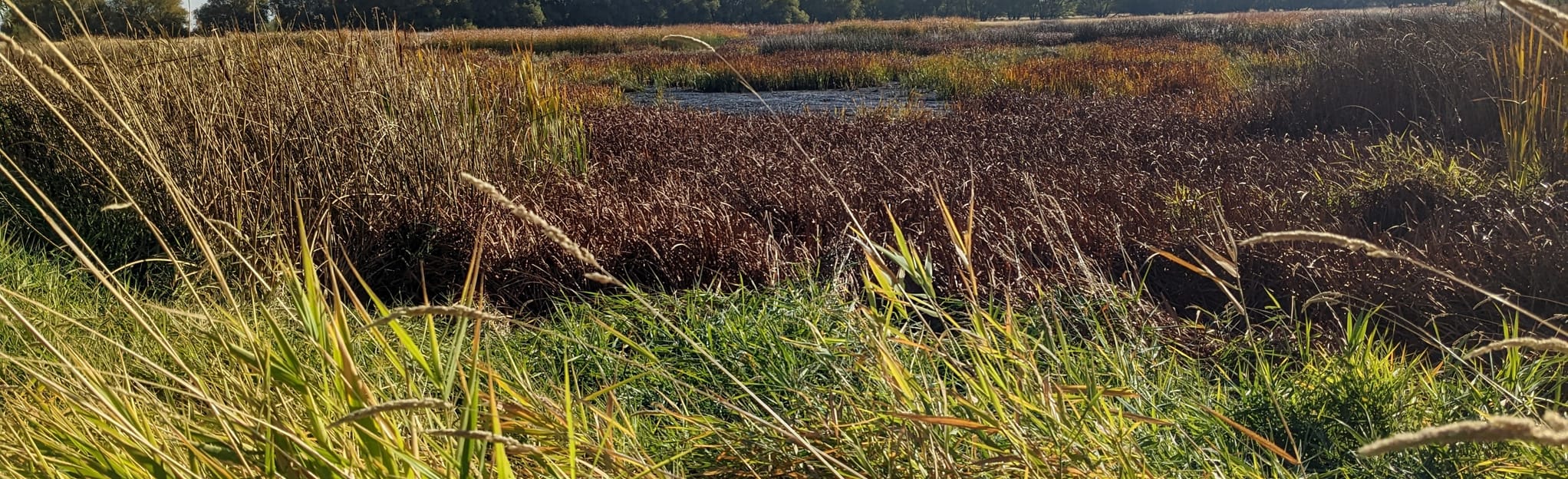 Ladd Marsh Wildlife Area Overlook, Oregon 9 Reviews, Map AllTrails