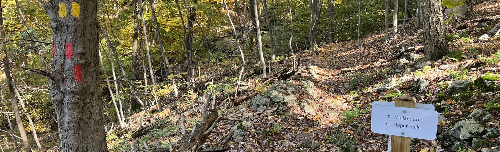 Cataract Park Red Trail 125 Reviews, Map New Jersey AllTrails