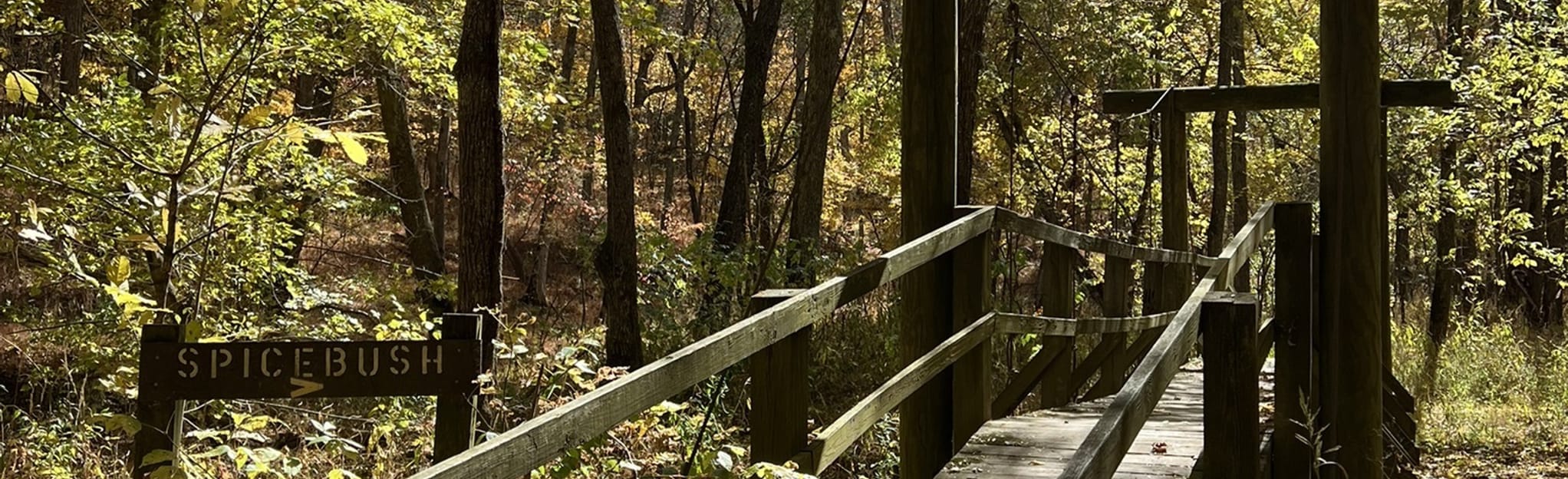 Kincaid Lake Ironwood Loop, Kentucky 56 Reviews, Map AllTrails