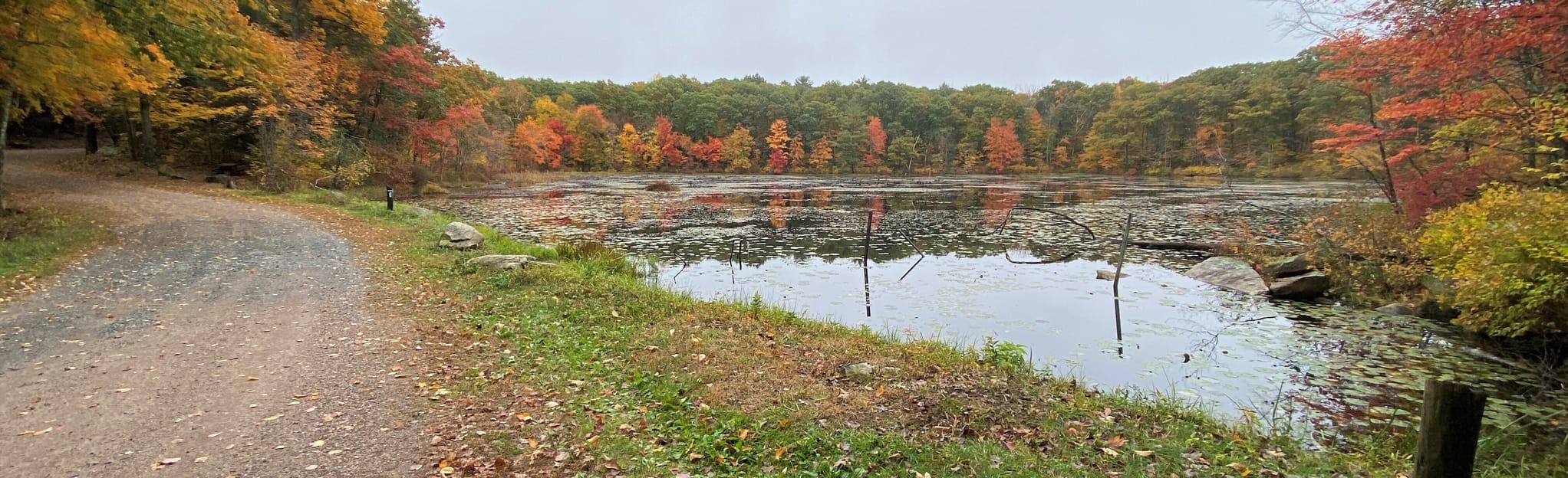 Soapstone Mountain and Blue and White Trail Connecticut AllTrails