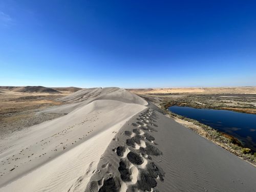 are dogs allowed at bruneau sand dunes