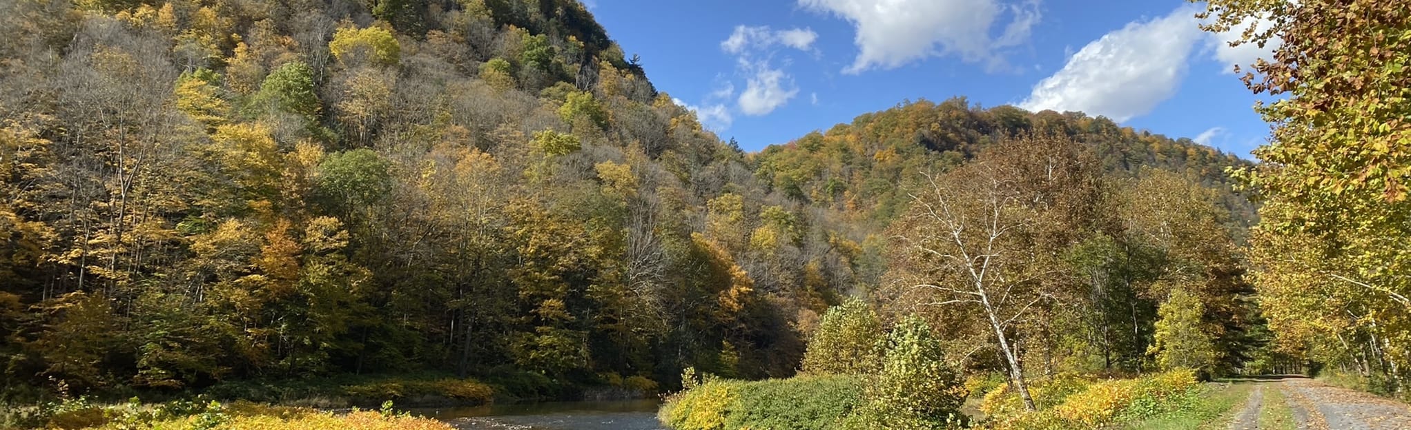 Pine Creek Trail 294 Reviews, Map Pennsylvania AllTrails