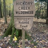 Hickory Creek Wilderness Trail, Pennsylvania - 372 Reviews, Map | AllTrails