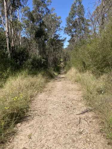 Best Hikes and Trails in Mulgoa Nature Reserve | AllTrails