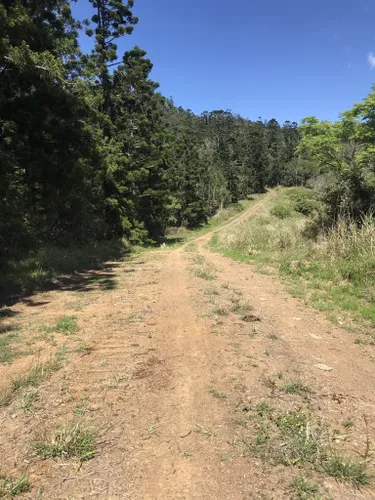 Best Trail Running Trails in Kilcoy AllTrails