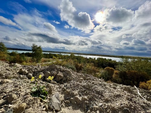 Rund um den Hainer See