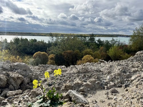Rund um den Hainer See