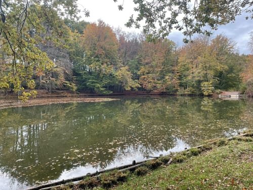 Thanninger Weiher Rundwanderweg