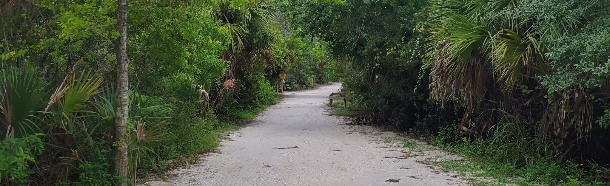 Wickham Park Paved Path  Map, Guide - Florida  AllTrails