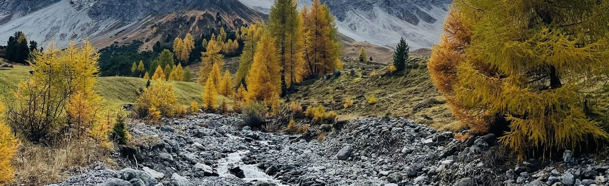 jobbörse graubünden