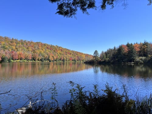 Best Trails In Crystal Lake Wild Forest Ny Alltrails