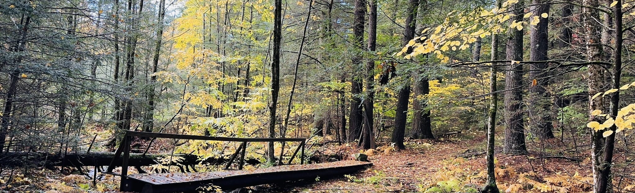 Littlefield Trail Loop 71 Reviews, Map Maine AllTrails