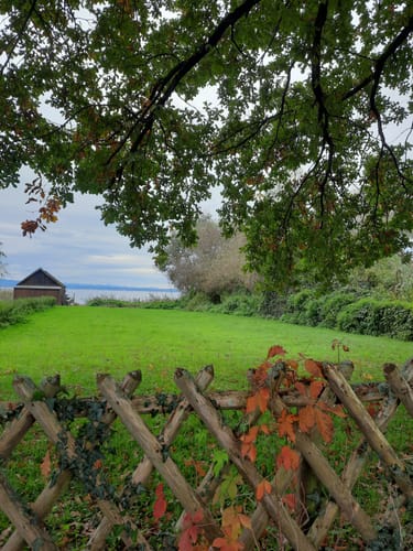 Runde im Eriskircher Ried