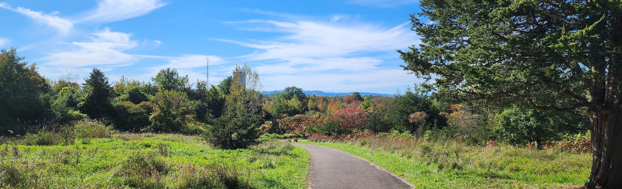 Wheeler Loop and South Burlington Community Gardens, Vermont 116