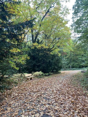 L2 Rundwanderweg Lauenau Nr. 2
