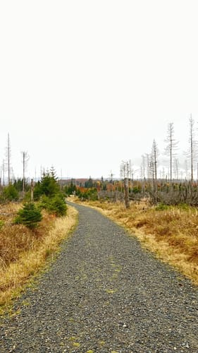 Rundweg: Braunlage - Königskrug -Achtermannshöhe