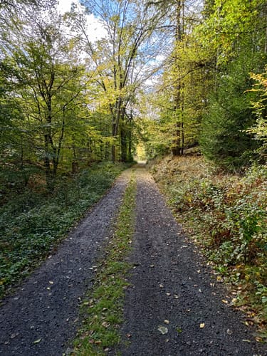 Waldrundweg in Hünstetten
