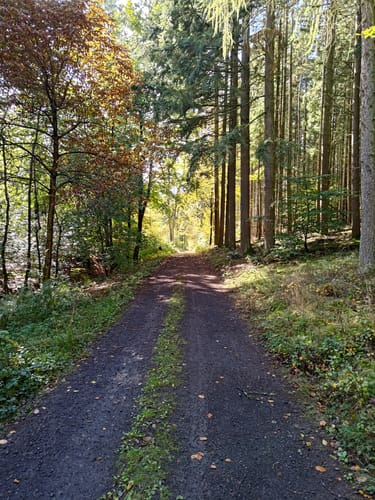 Waldrundweg in Hünstetten
