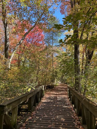 Best Hikes and Trails in Cold Spring Park | AllTrails