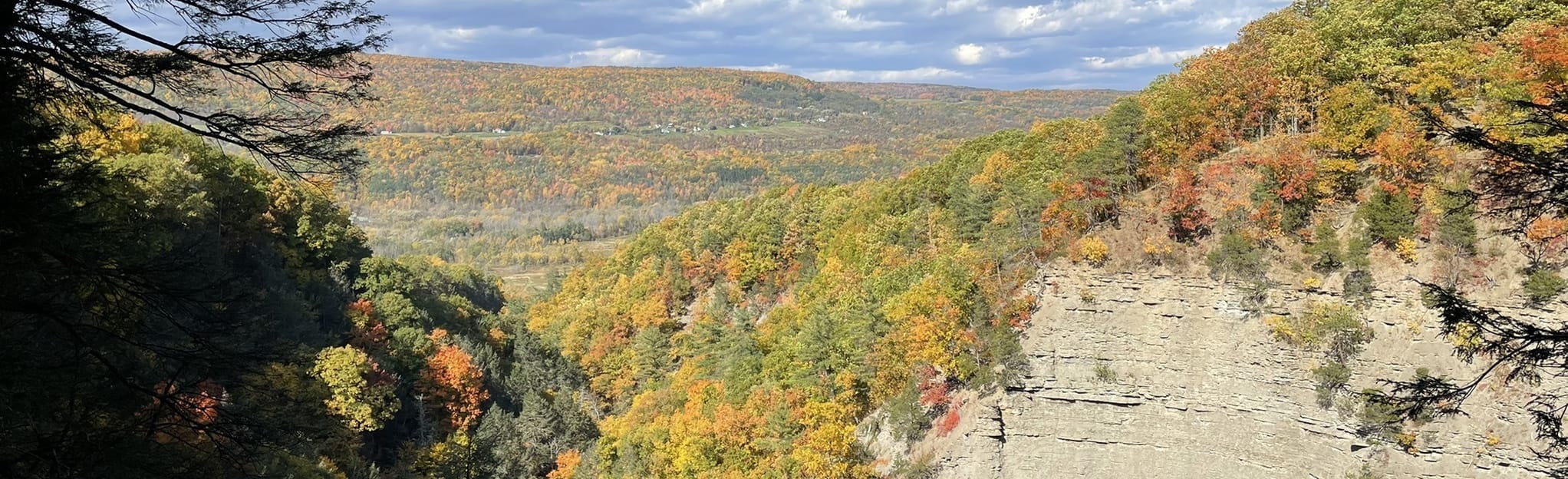 Conklin Gully Rim Trail and Parrish Hill Road, New York 534 Reviews