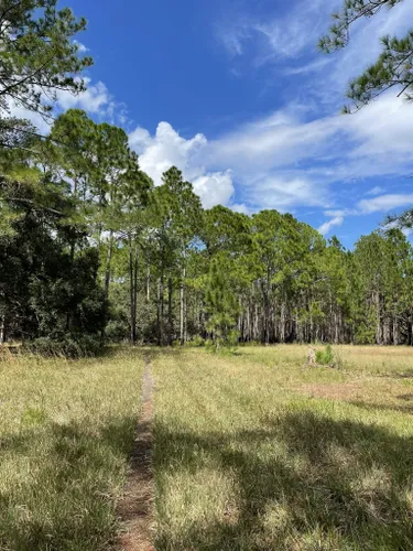 2023 Best 10 Trails and Hikes in Orlando | AllTrails