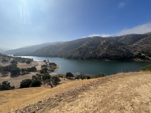 can dogs swim in lake del valle