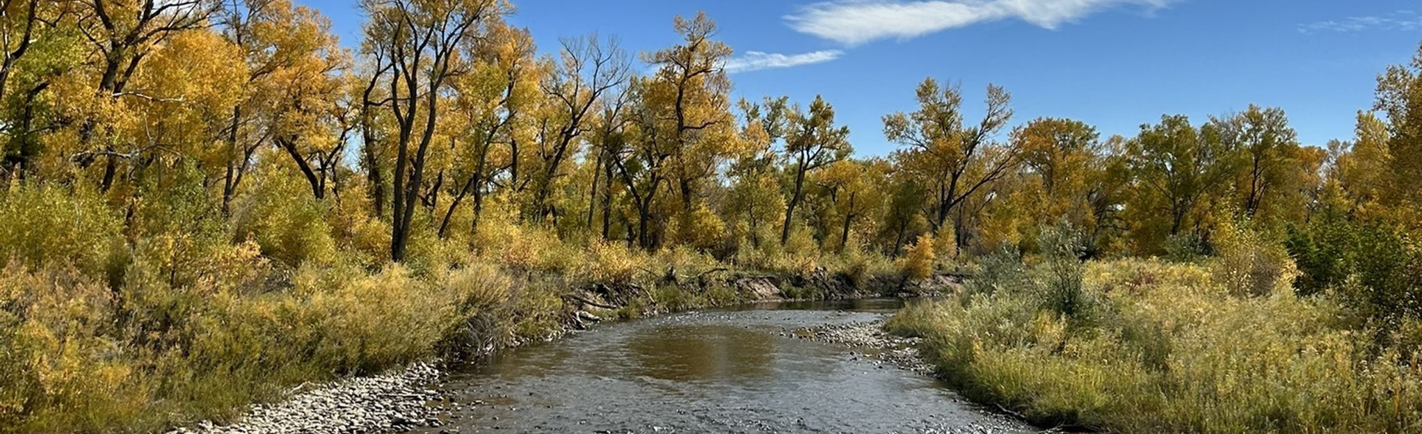 South Platte River Loop: 494 Reviews, Map - Colorado  AllTrails