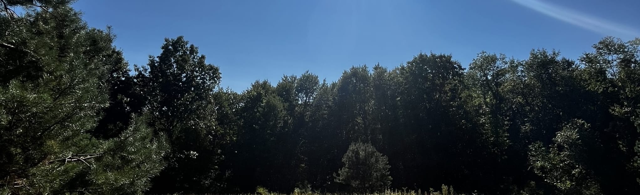 Burden Preserve Blue, Pond, White, Purple, Red and Orange Trail, New