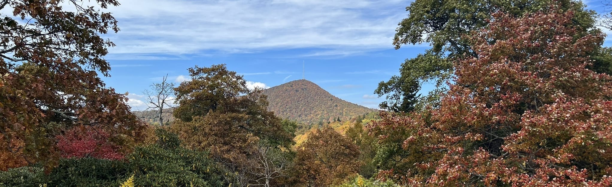 Mount Pisgah Trail North Carolina - EyJidWNrZXQiOiJhc3NldHMuYWxsdHJhaWxzLmNvbSIsImtleSI6InVwbG9hZHMvcGhvdG8vaW1hZ2UvNTMyMzEyNTUvMzk3MDhjYzUzNmZjMTQxNmZjNmJlMDkxODFkYzE4N2YuanBnIiwiZWRpdHMiOnsidG9Gb3JtYXQiOiJqcGVnIiwicmVzaXplIjp7IndpZHRoIjoyMDQ0LCJoZWlnaHQiOjYyNCwiZml0IjoiY292ZXIifSwicm90YXRlIjpudWxsLCJqcGVnIjp7InRyZWxsaXNRdWFudGlzYXRpb24iOnRydWUsIm92ZXJzaG9vdERlcmluZ2luZyI6dHJ1ZSwib3B0aW1pc2VTY2FucyI6dHJ1ZSwicXVhbnRpc2F0aW9uVGFibGUiOjN9fX0=