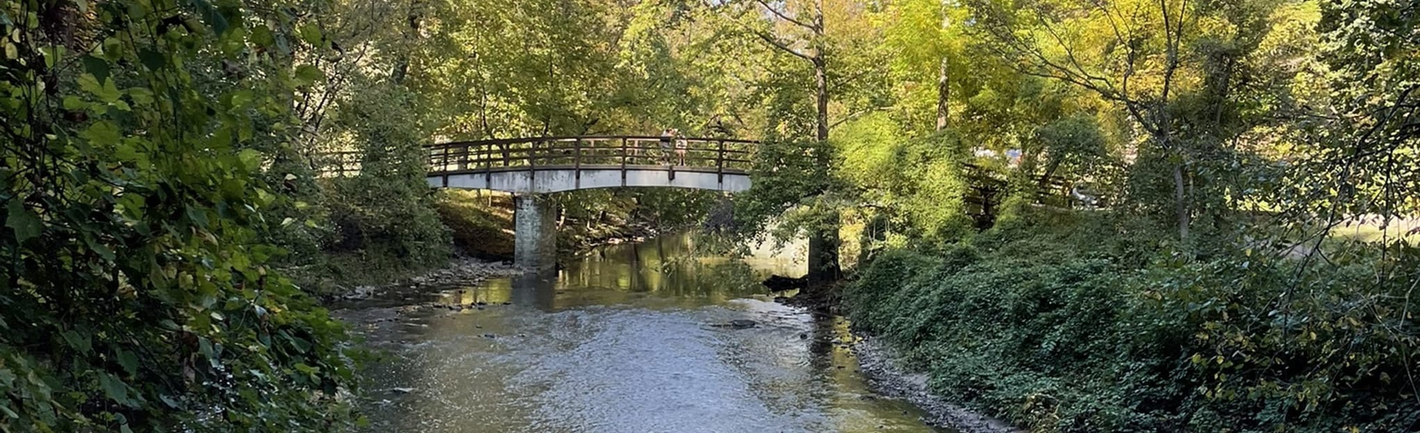 Soapstone Trail, Rock Creek Trail and Mount Pleasant 89 Reviews, Map