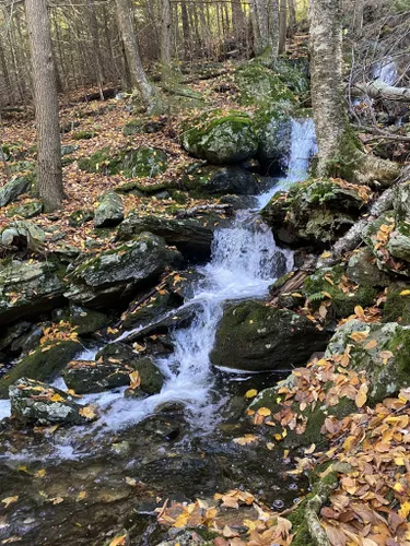 10 Best Hikes and Trails in Mount Washington State Forest | AllTrails