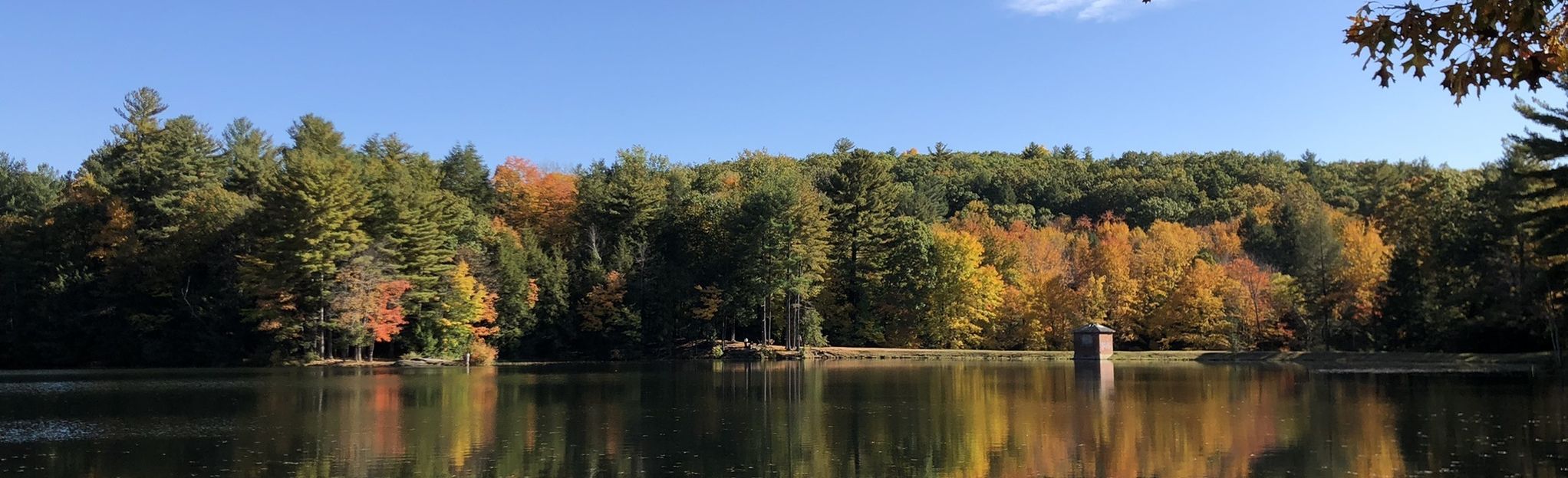 Lithia Springs Reservoir Loop: 135 Reviews, Map - Massachusetts | AllTrails