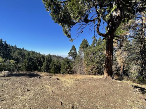 10 Best hikes and trails in Sequoia National Forest AllTrails