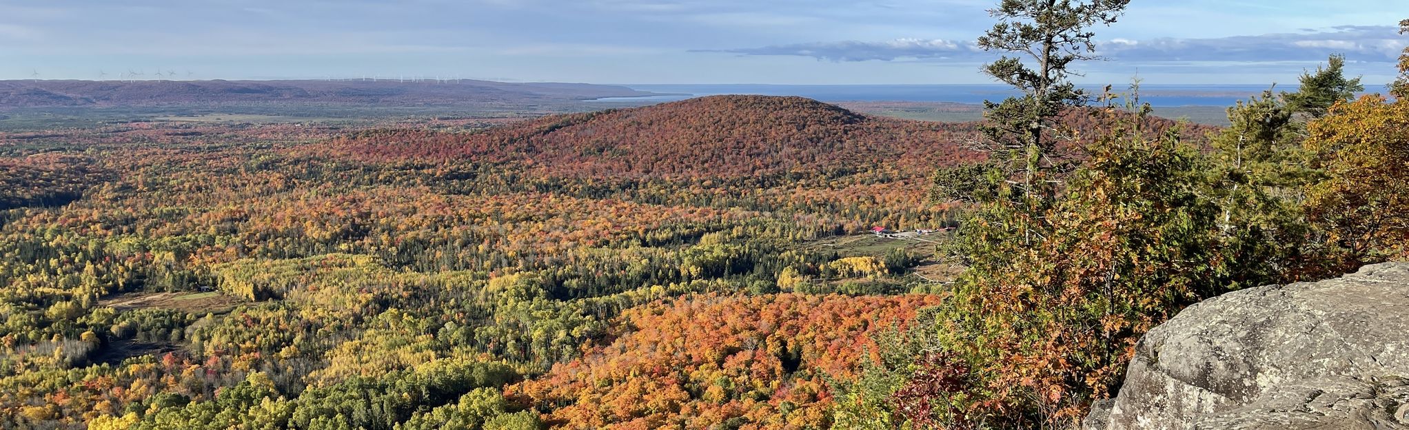 Robertson Cliffs via Ila’s Loop: 299 foto's - Ontario, Canada | AllTrails