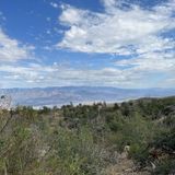 Lone Pine Trail, Arizona - 32 Reviews, Map | AllTrails