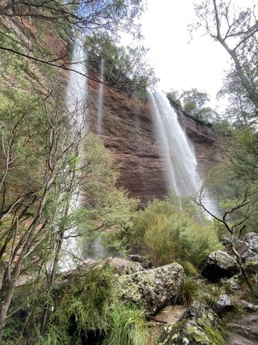 Paradise Falls - Victoria's High Country