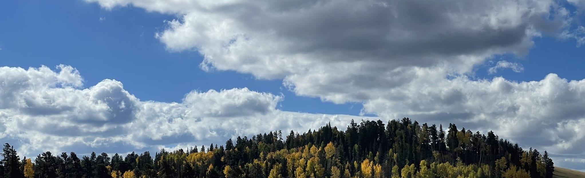 Pole Knoll Loop Trail Map, Guide Arizona AllTrails