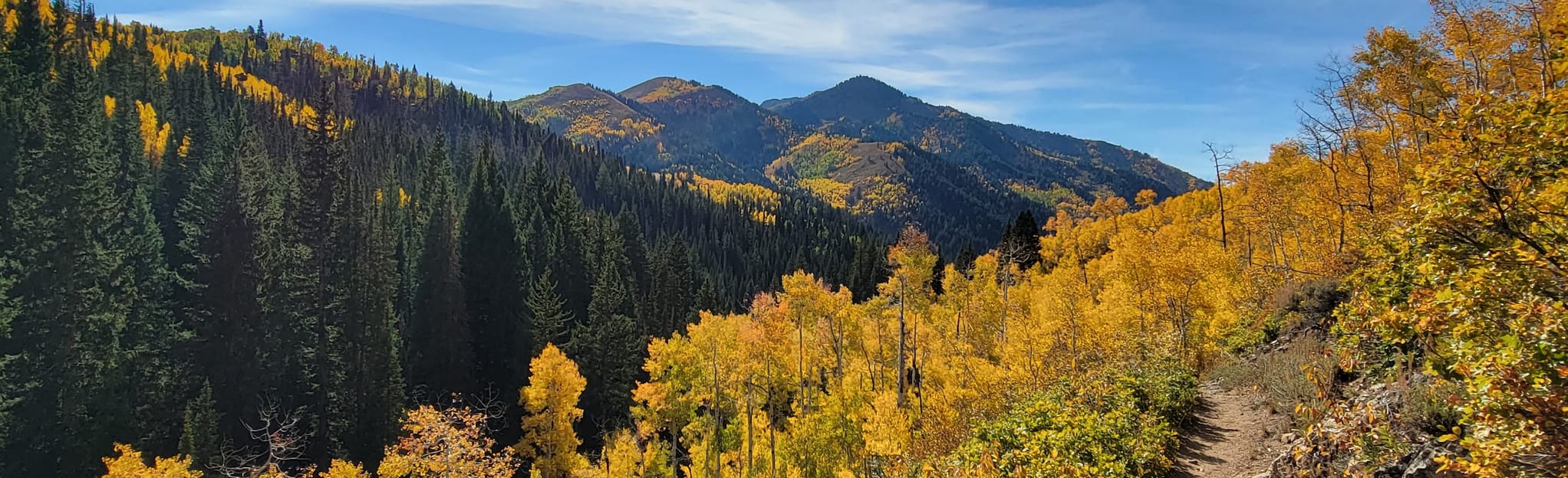 Murdock Peak via Old Red Pine Road 496 Reviews, Map Utah AllTrails