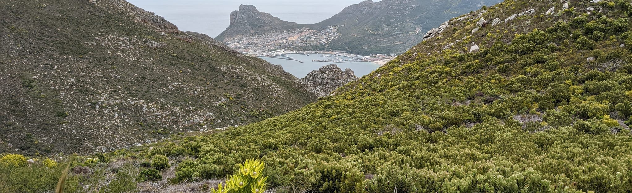 Constantia Nek to East Fort 236 foto Western Cape, South Africa