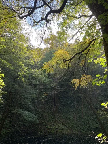 金山ノ池（十二湖） - hikes and trails to get you there