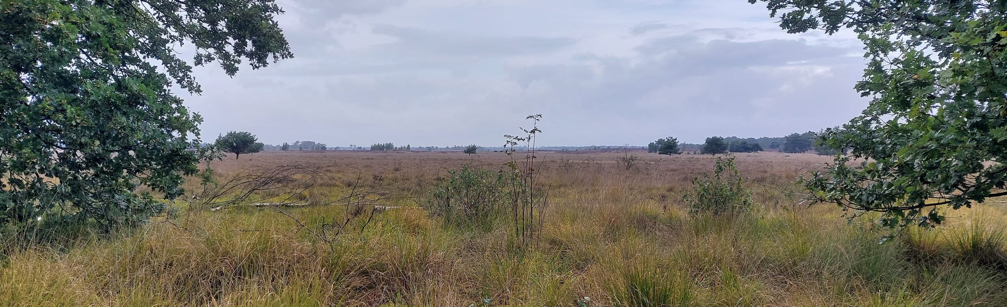 Hiking trail Caterpillar, Antwerp, Belgium 8 Reviews, Map AllTrails