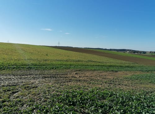 Hohenpolding -Taufkirchen Runde