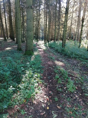 Hohenpolding -Taufkirchen Runde