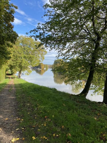 Altneckarrunde NSG Pleidelsheimer Wiesental