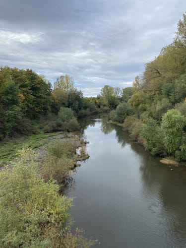 Altneckarrunde NSG Pleidelsheimer Wiesental