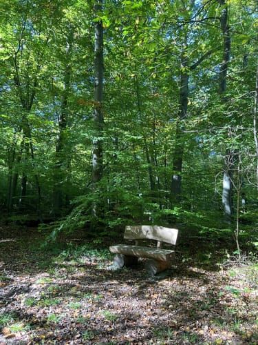 Elm Rundwanderweg 17