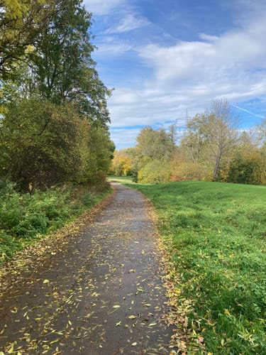 Durch den Zettachwald