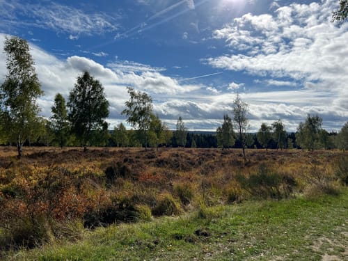 Eifelsteig Etappe 1: Kornelimünster - Roetgen