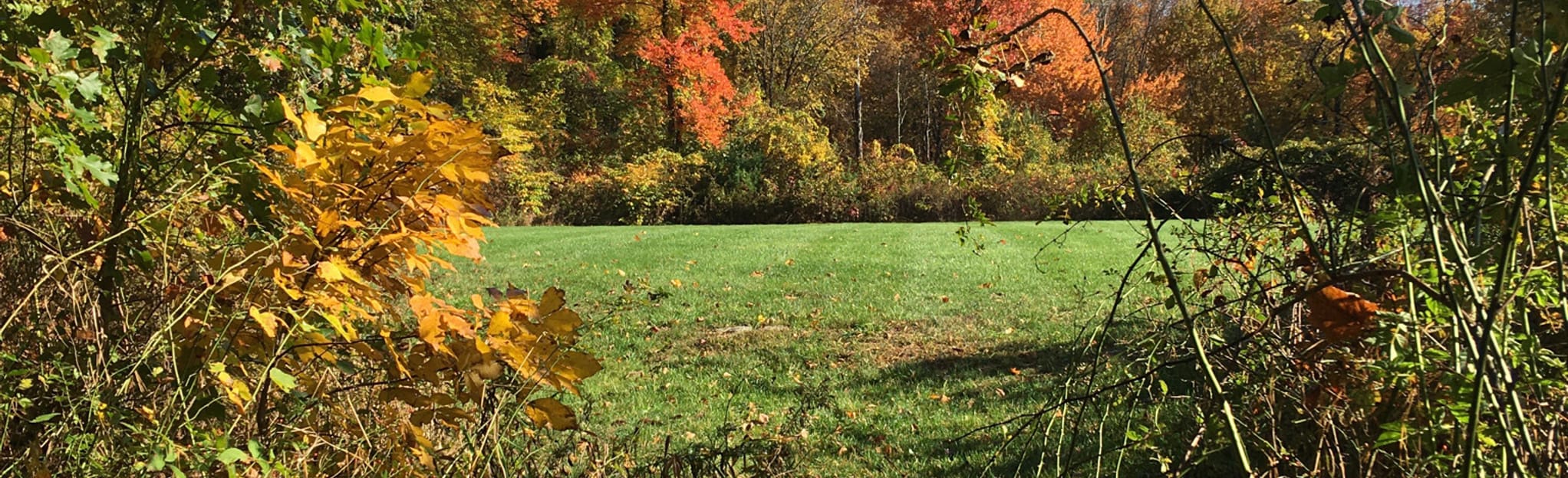 Long Lake Park Loop - Massachusetts | AllTrails