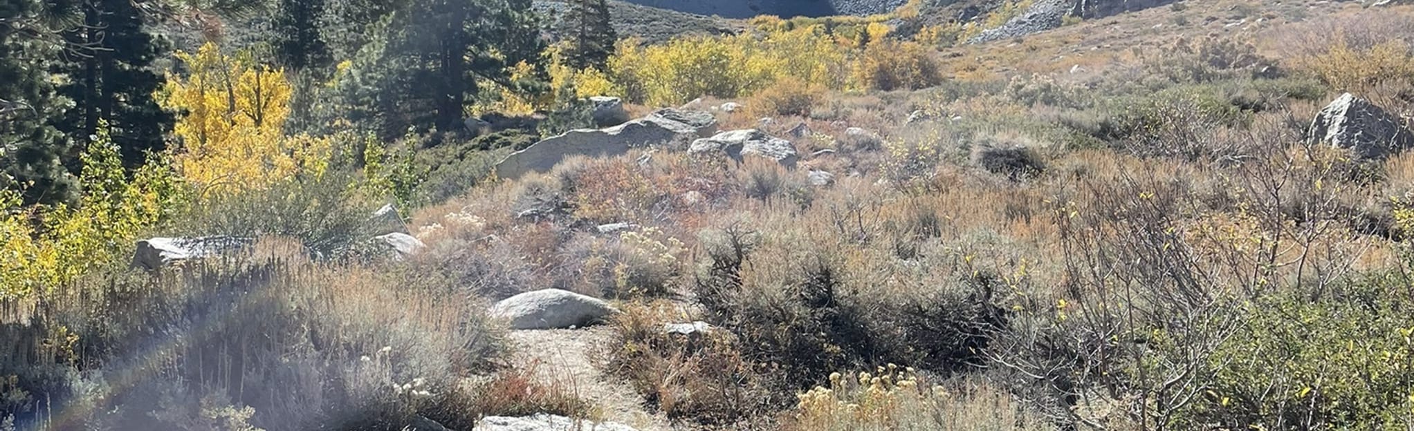 Mount Sill via Big Pine Creek South Fork Trail - California | AllTrails